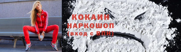 прущие грибы Алексин